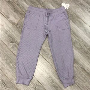 New Splendid sweatpants XL